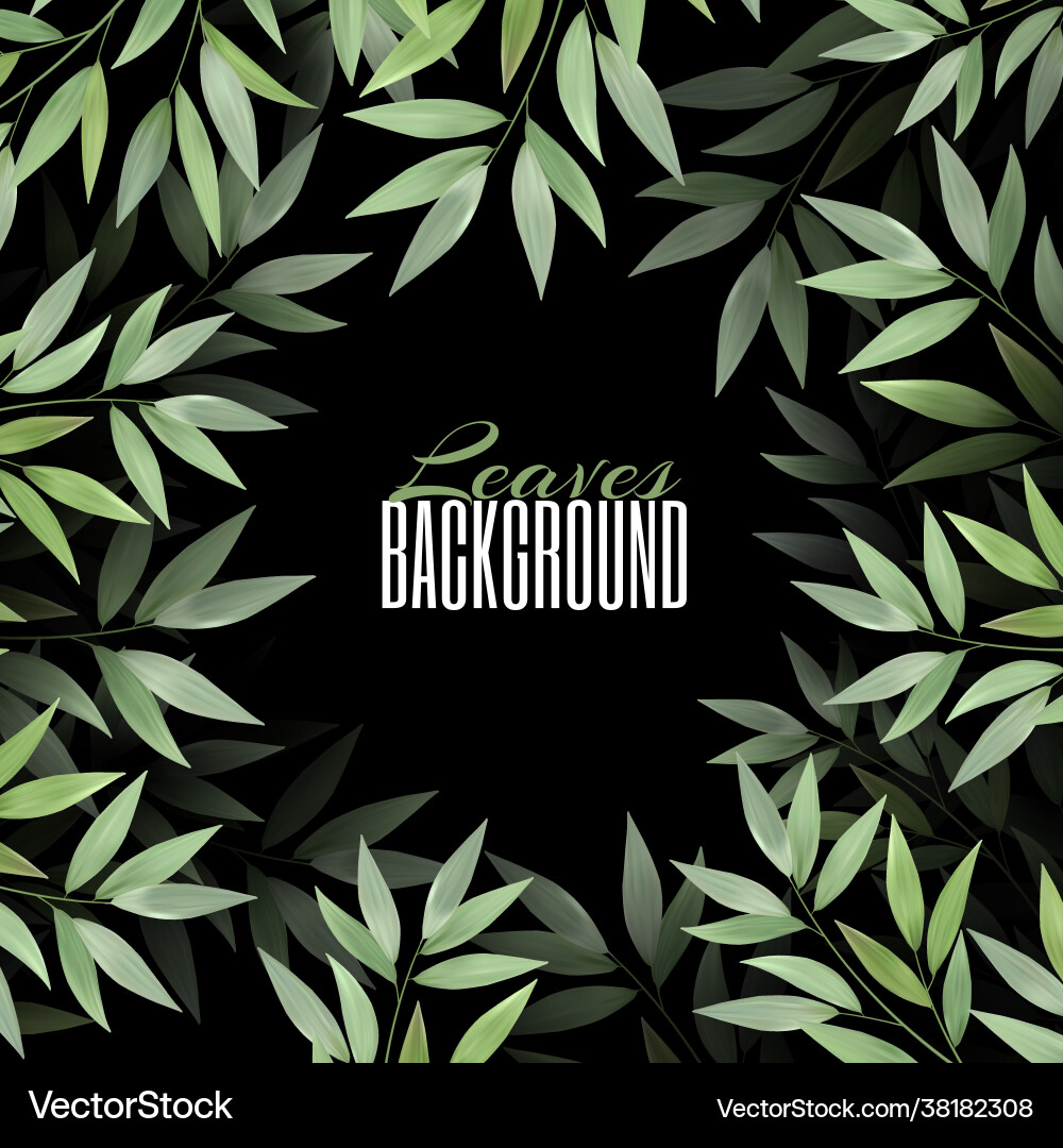 Square frame overgrown tree branches with fresh Vector Image