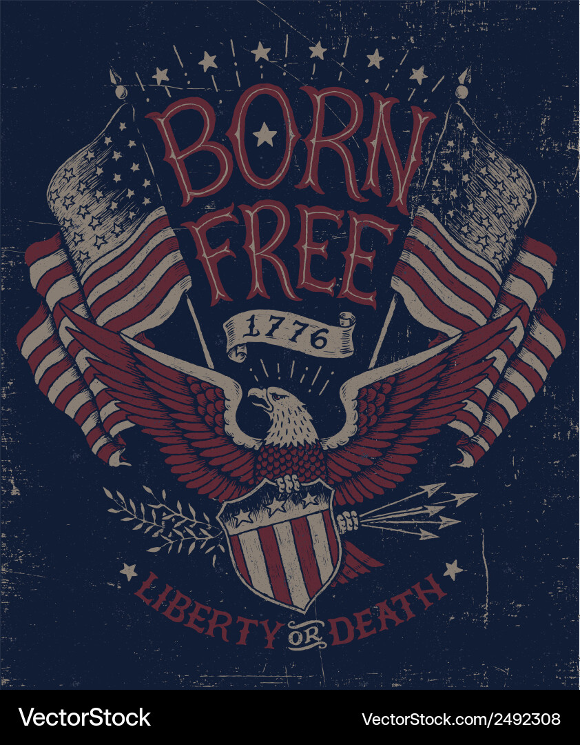 Vintage Patriotic Eagle Graphic vector image