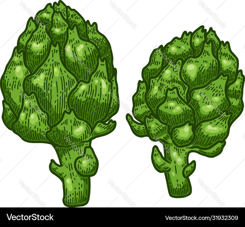 Artichoke in engraving style design element Vector Image