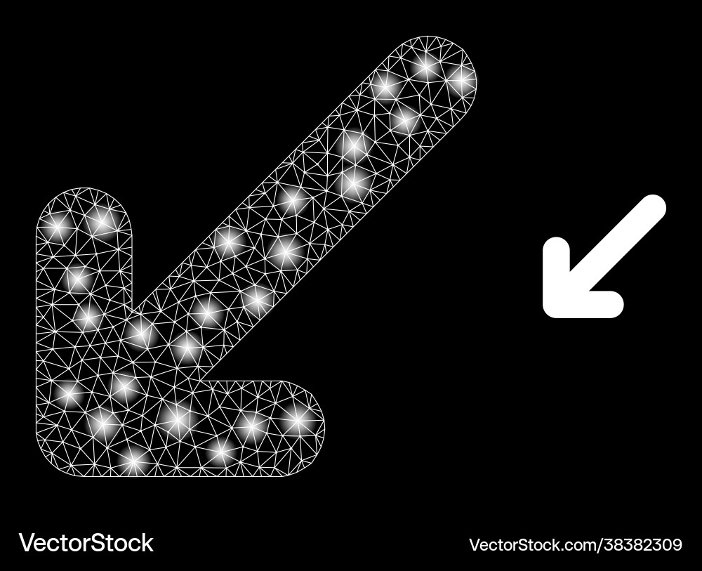 Polygonal wire frame mesh move down left vector image