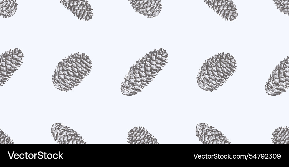 Seamless pattern of sketches fir cones realistic vector image