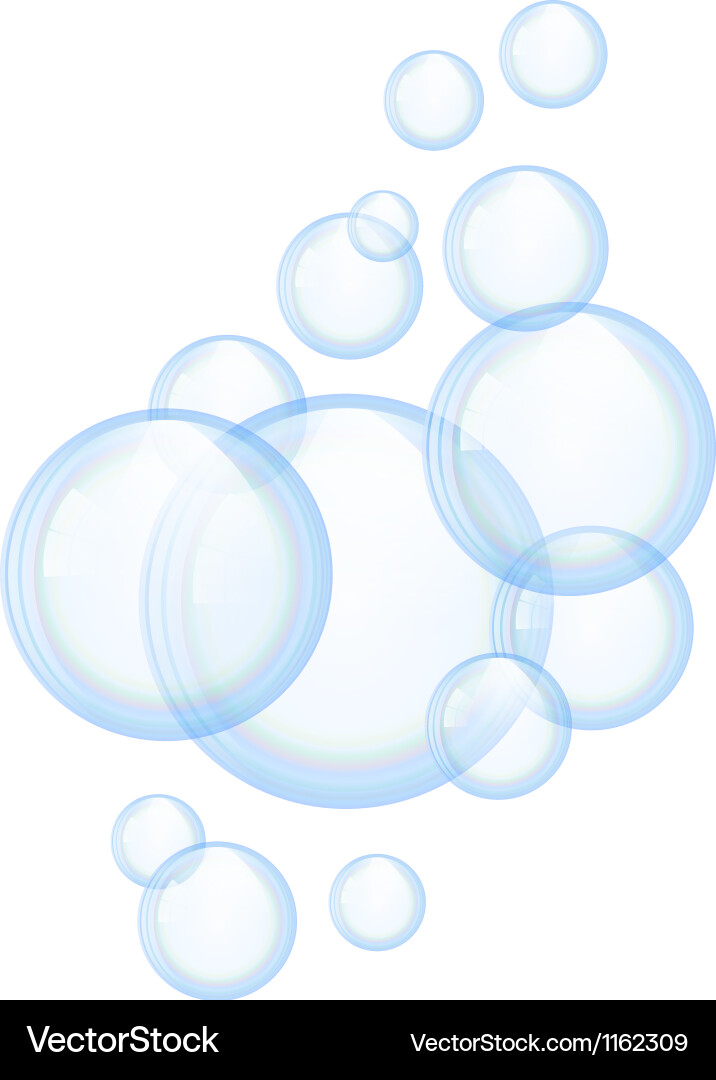 Soap bubbles Royalty Free Vector Image - VectorStock