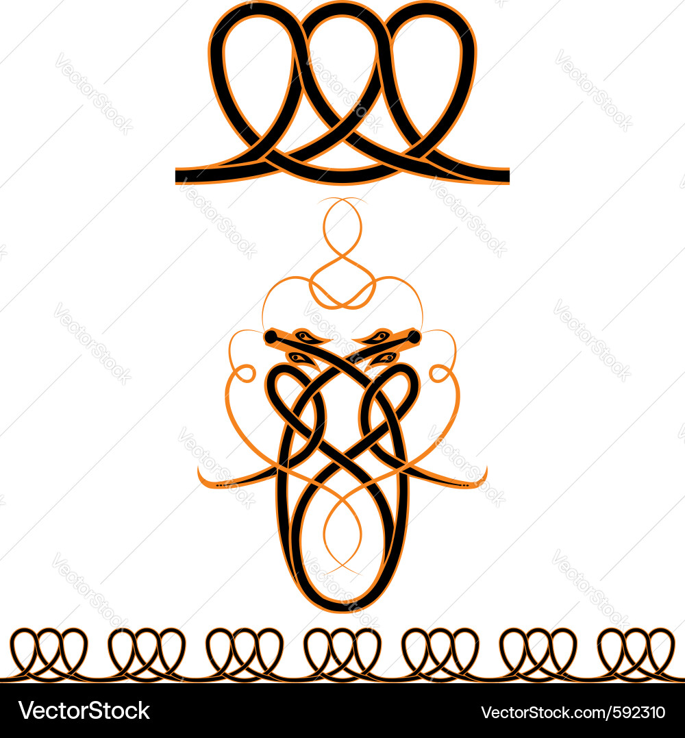 Celtic patterns vector image