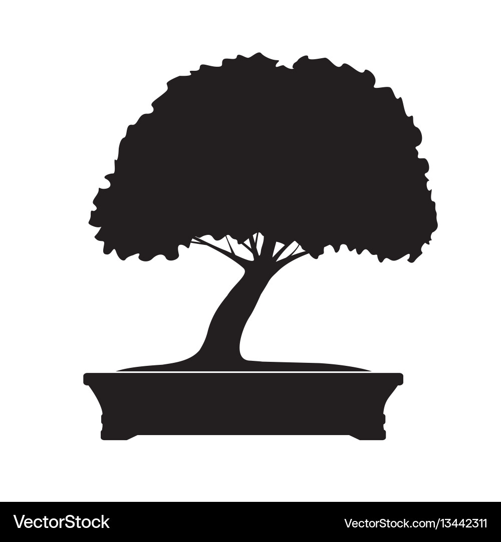 Black bonsai tree Vector Image