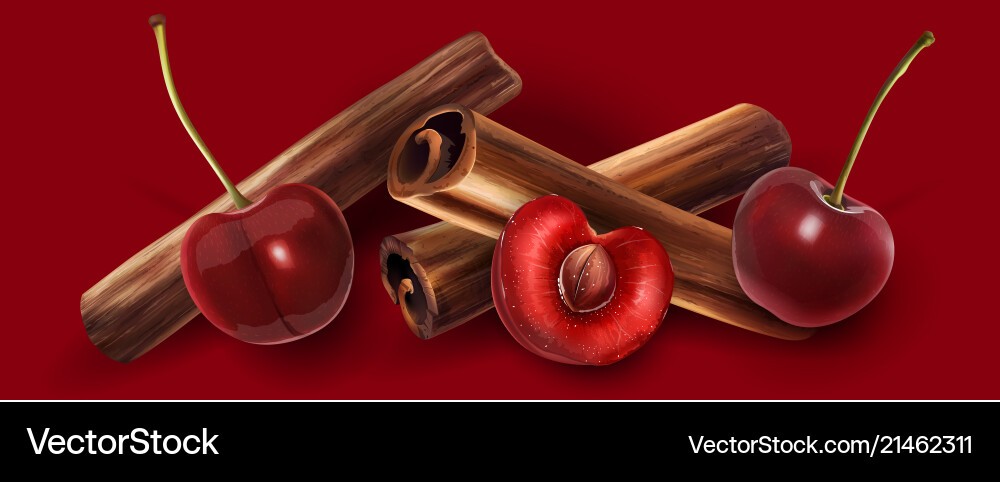 Cinnamon and cherry Cinnamon and cherry vector image