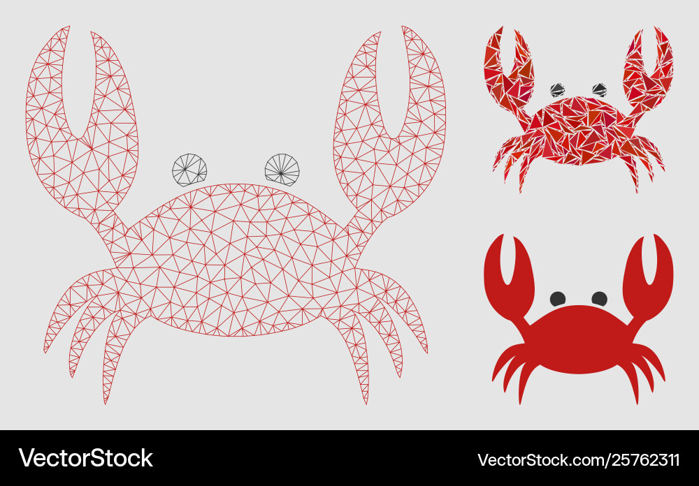 Crab mesh network model and triangle mosaic Crab mesh network model and triangle mosaic vector image