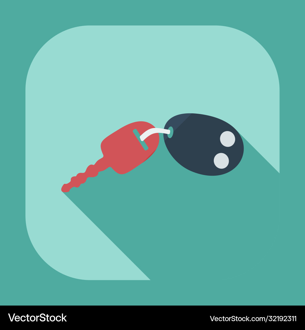 Flat modern design with shadow icons keys vector image