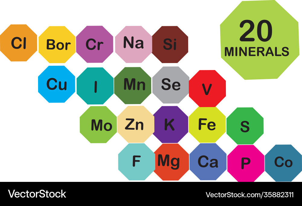 Minerals microelements and macro elements useful Minerals microelements and macro elements useful vector image