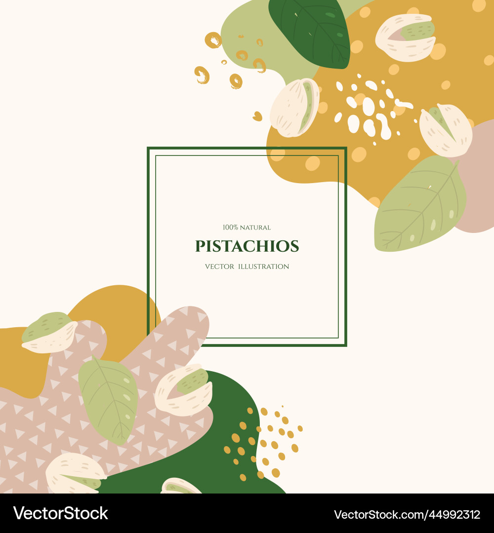 Frame with pistachios and abstract elements vector image