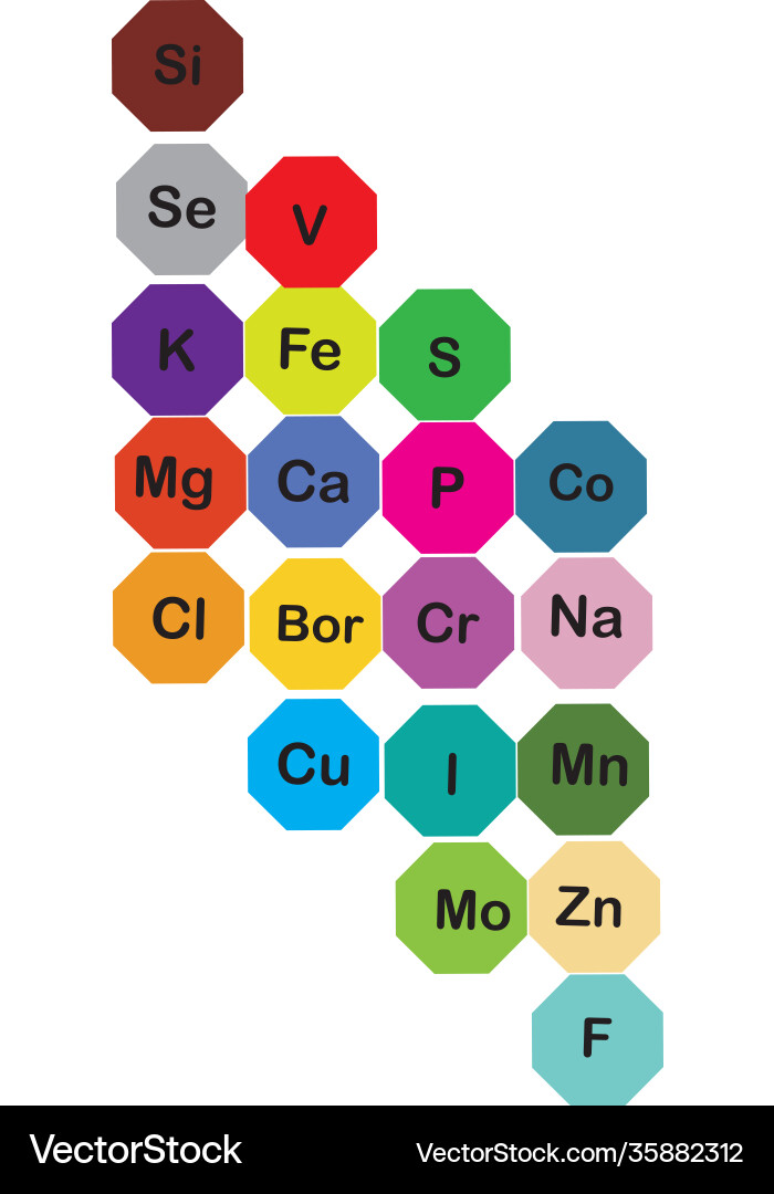Minerals microelements and macro elements useful Minerals microelements and macro elements useful vector image