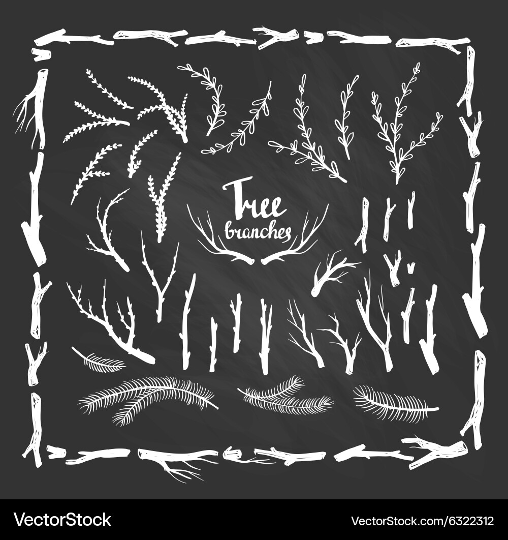 Rustic Tree Branches Sketch Vector Image