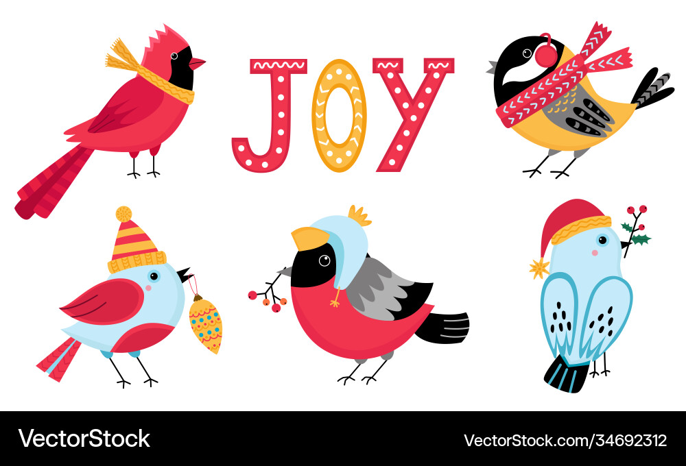 Set cute christmas birds in winter accessories Set cute christmas birds in winter accessories vector image