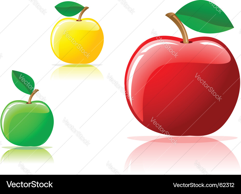 Shiny Red Apples Reflection vector image