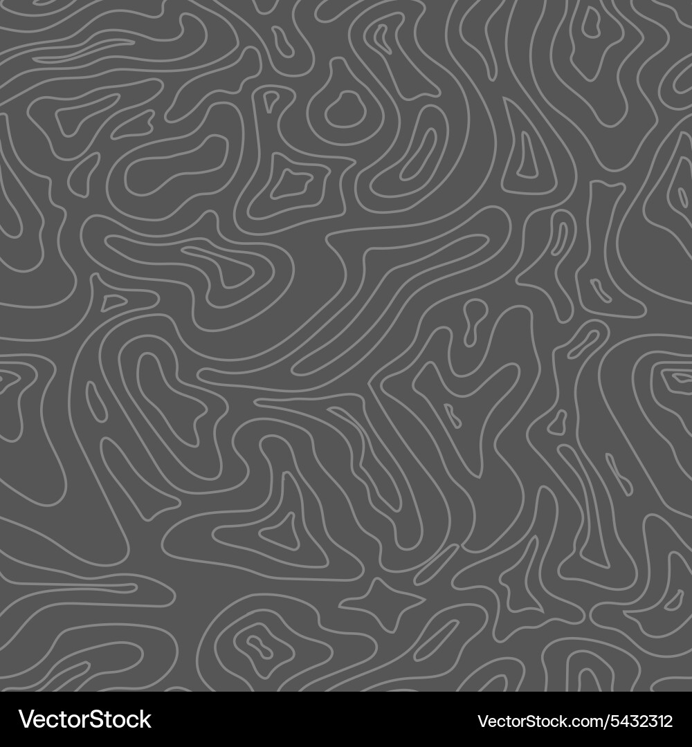 Topographic map seamless pattern vector image