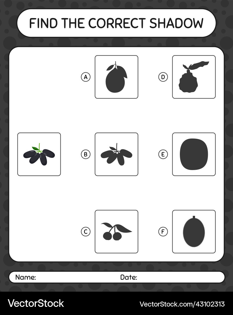 Find the correct shadows game with jambolan Find the correct shadows game with jambolan vector image