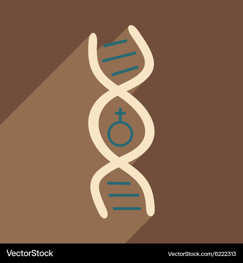Flat with shadow icon and mobile application genes vector image