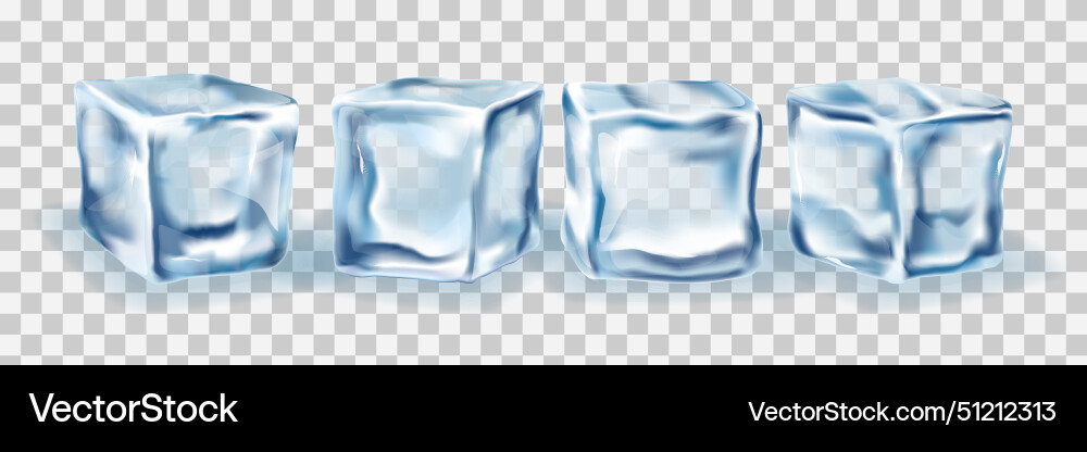Ice cubes block concept on transparency vector image