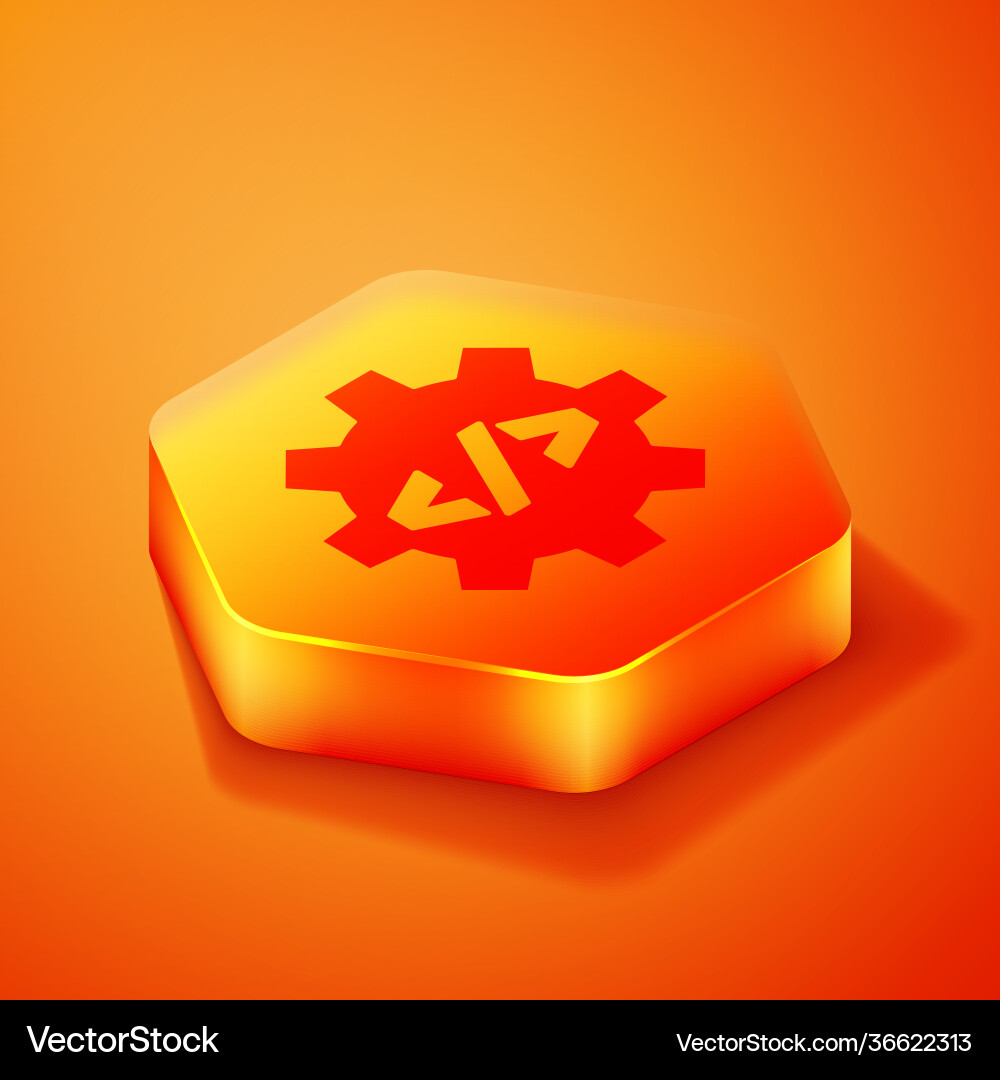 Isometric web design and front end development Vector Image
