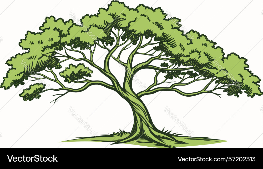 Lush vibrant tree with deep roots design Vector Image