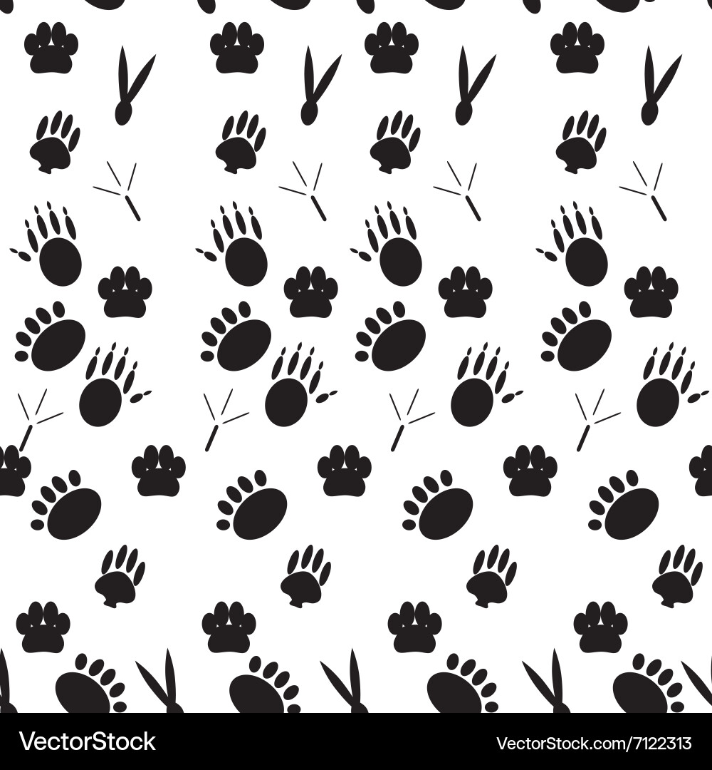 Monochrome pattern footprints various mammals Vector Image