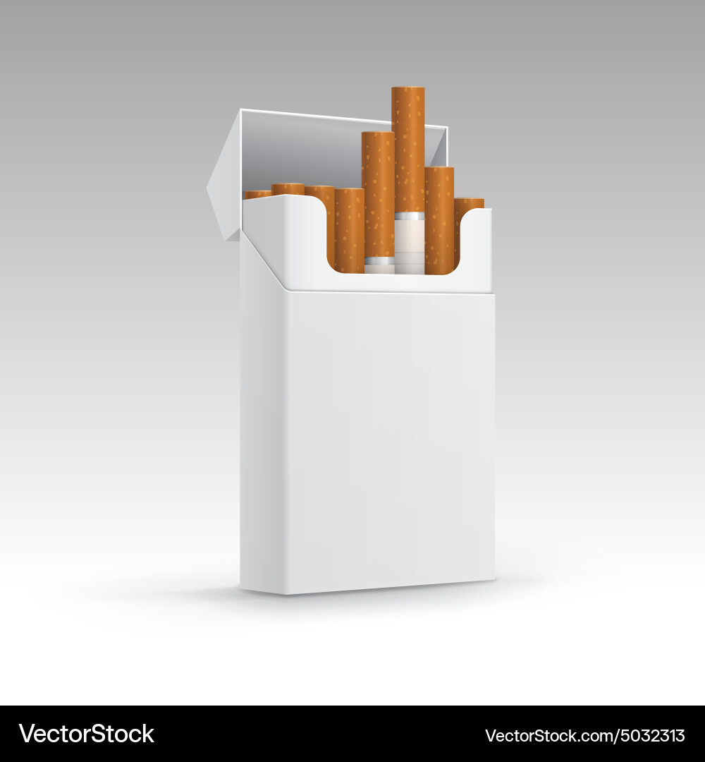 Opened pack of cigarettes isolated on background vector image