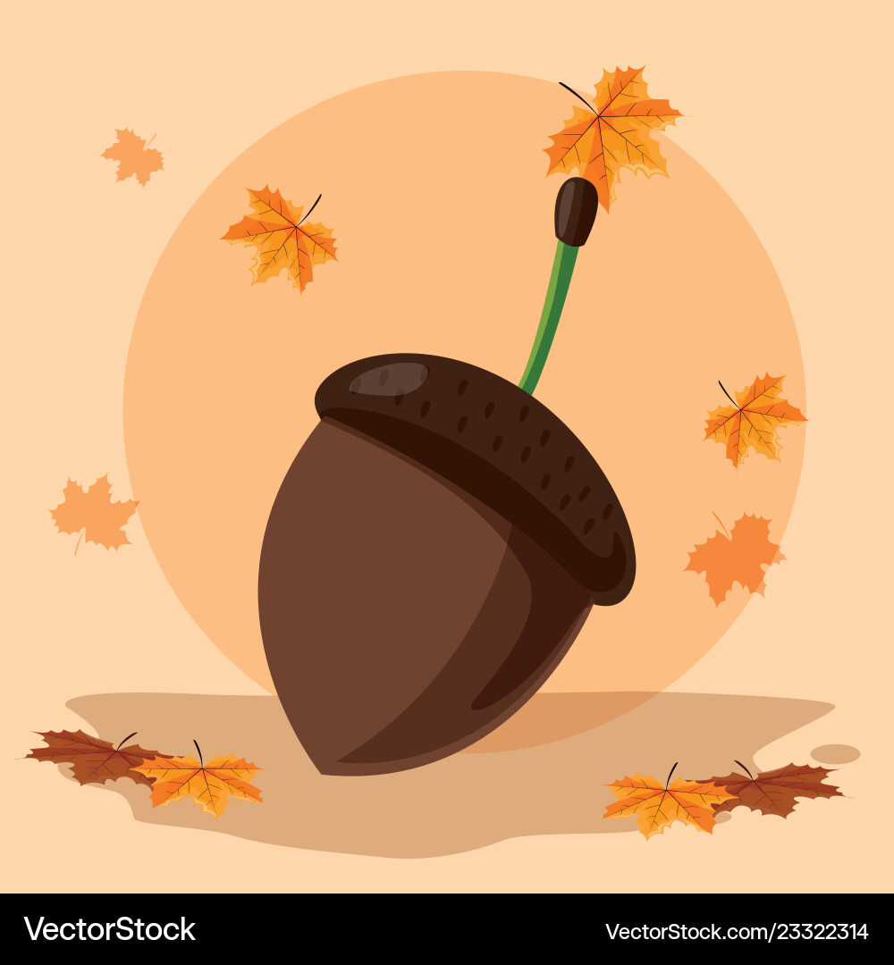 Acorn icon image Acorn icon image vector image
