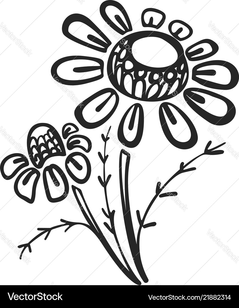 Branch of chamomile icon simple style Branch of chamomile icon simple style Vector Image
