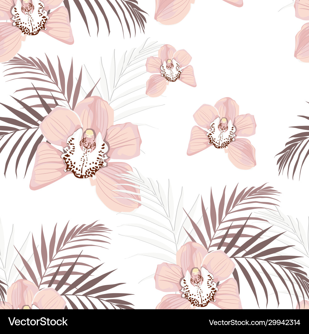 Exotic Tropical Orchids vector image