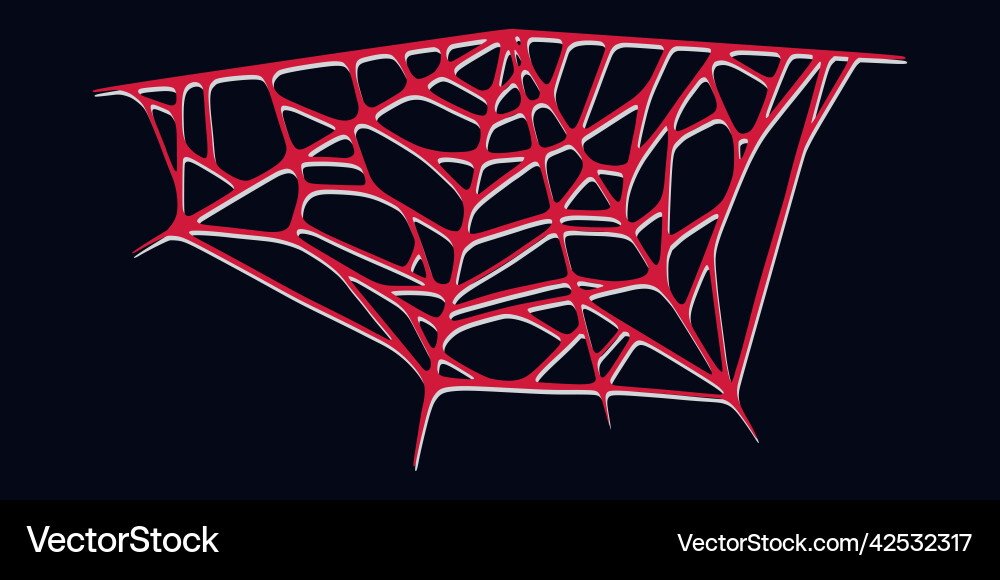 Spider web isolated on dark background spooky Spider web isolated on dark background spooky vector image