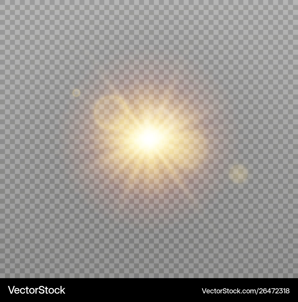 Sunlight a translucent bokeh Vector Image