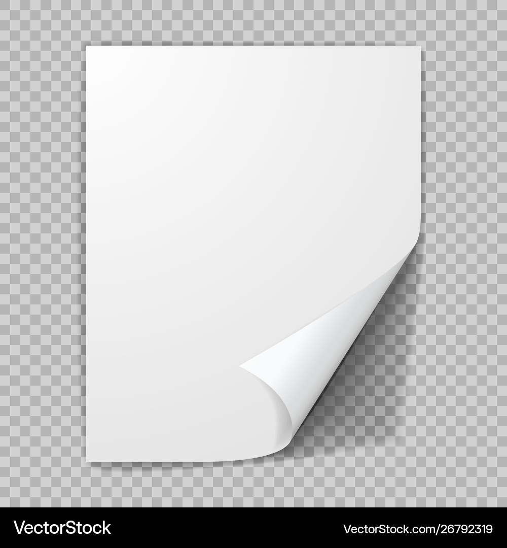 Curled sheet paper empty blank Curled sheet paper empty blank vector image