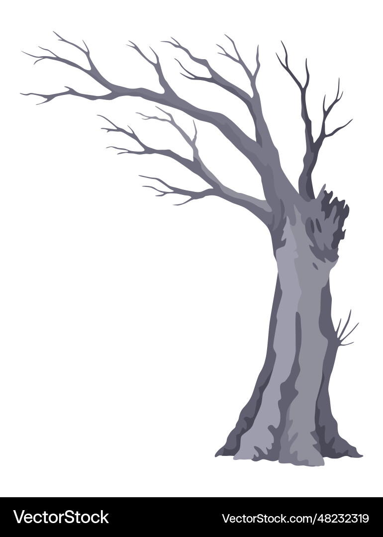 Old dead tree rough spooky bark dry naked branch – Royalty-Free Vector |  VectorStock, image size:770x1080