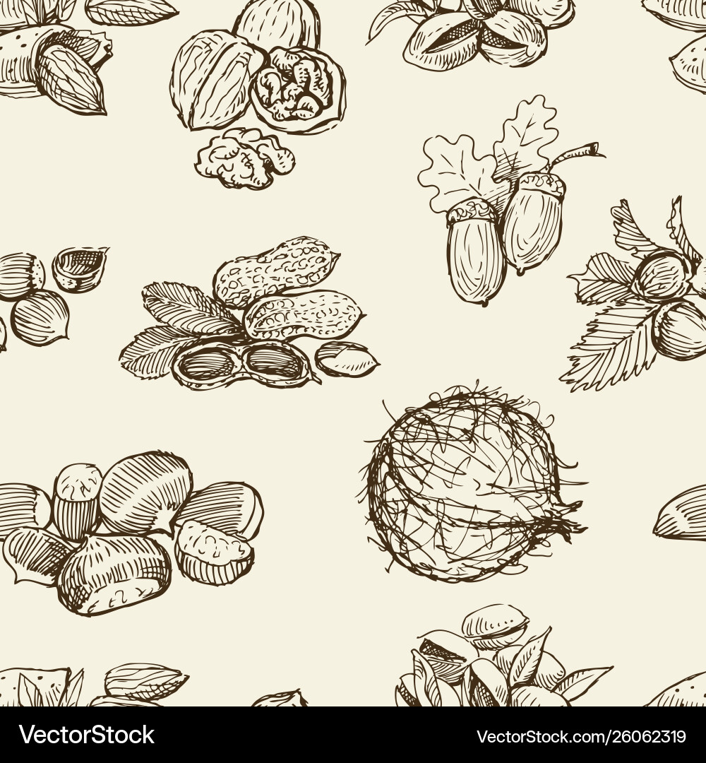 Pattern different nuts vector image