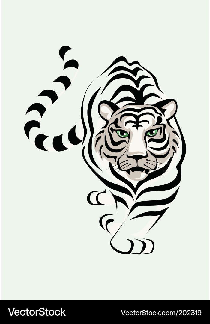 Stolen White Tiger vector image