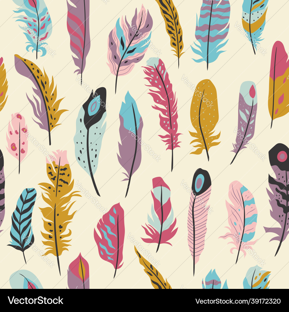 Bohemian Feather Pattern vector image