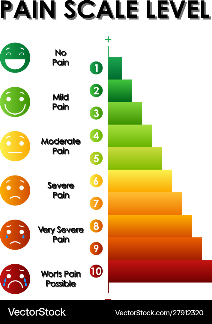 Diagram showing pain scale level with different Vector Image