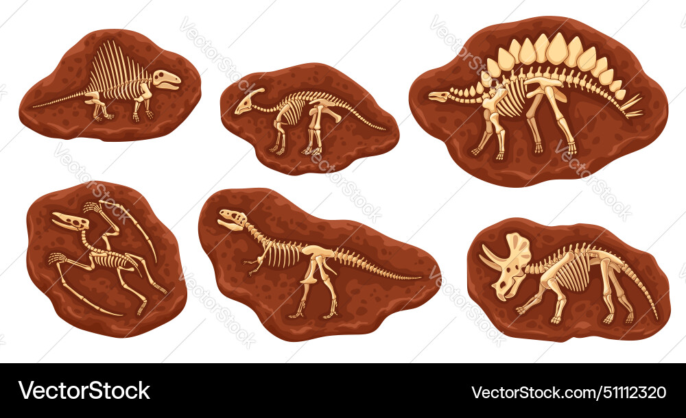 Dinosaur Fossil Bones in Stone vector image