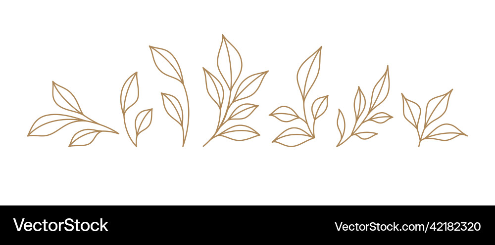 Set monochrome simple leaves botanical branches Set monochrome simple leaves botanical branches vector image
