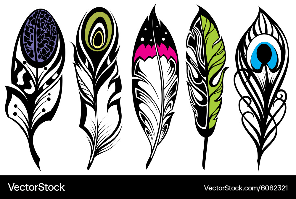 Ethnic Feather Set Royalty Free Vector Image - VectorStock