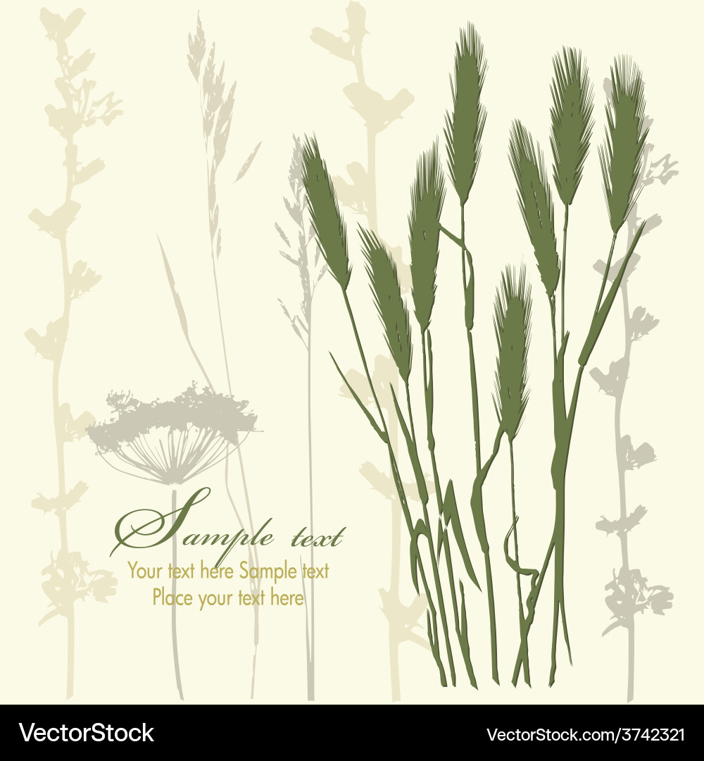 Wheat Field Background vector image