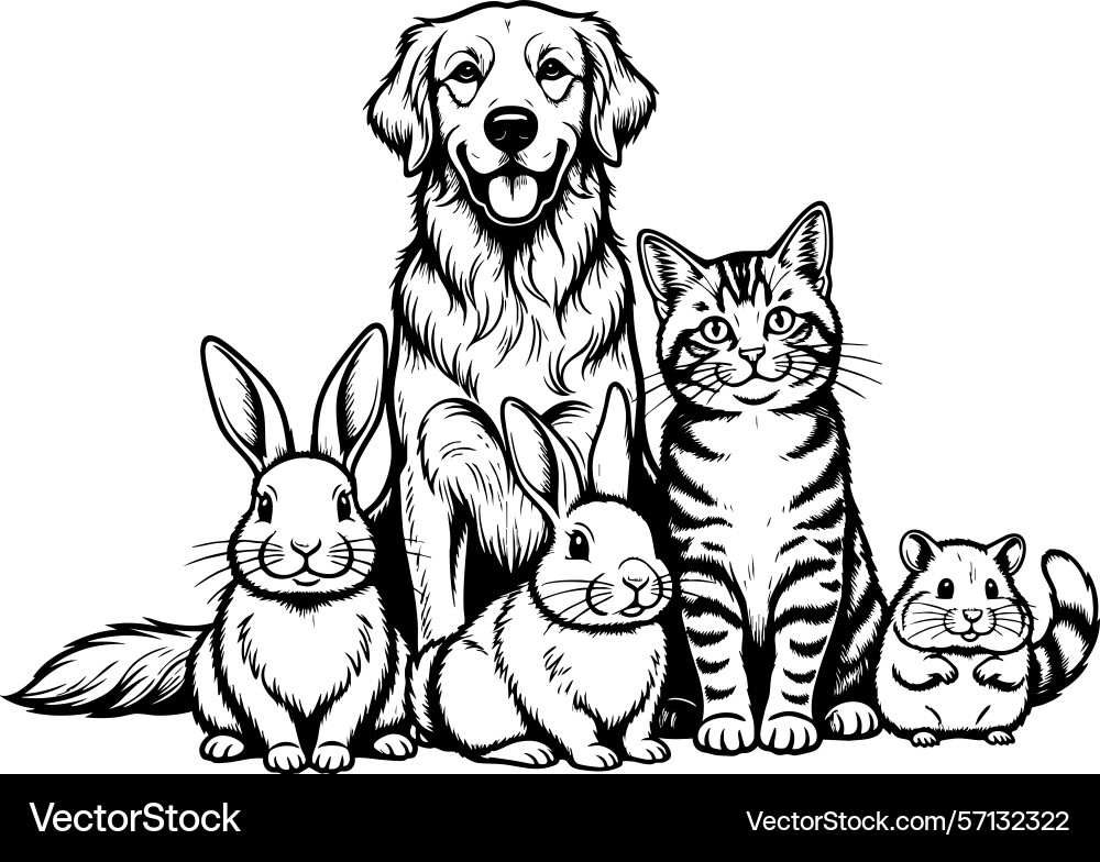 Dog cat rabbits and a hamster sitting together Dog cat rabbits and a hamster sitting together Vector Image