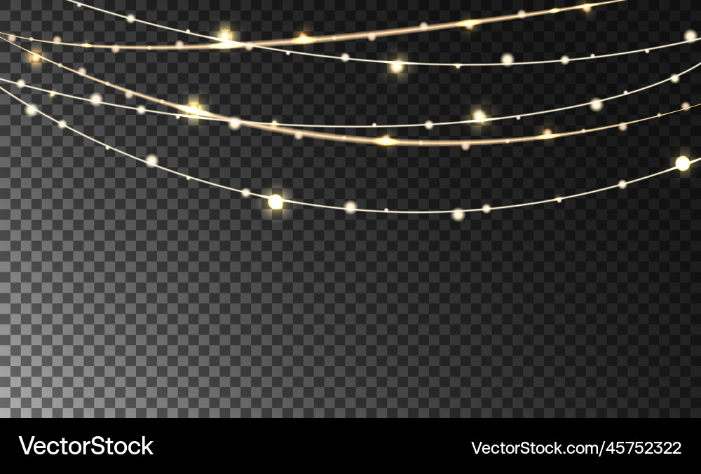 Glowing lights on wire strings isolated Glowing lights on wire strings isolated vector image