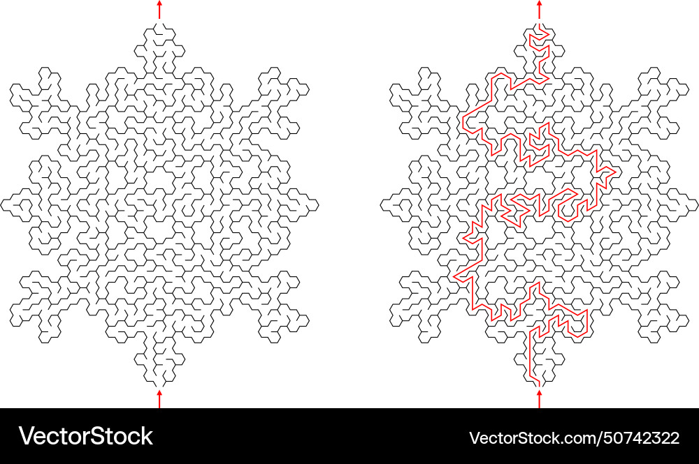 Labyrinth inside the snowflake shape creative Labyrinth inside the snowflake shape creative vector image