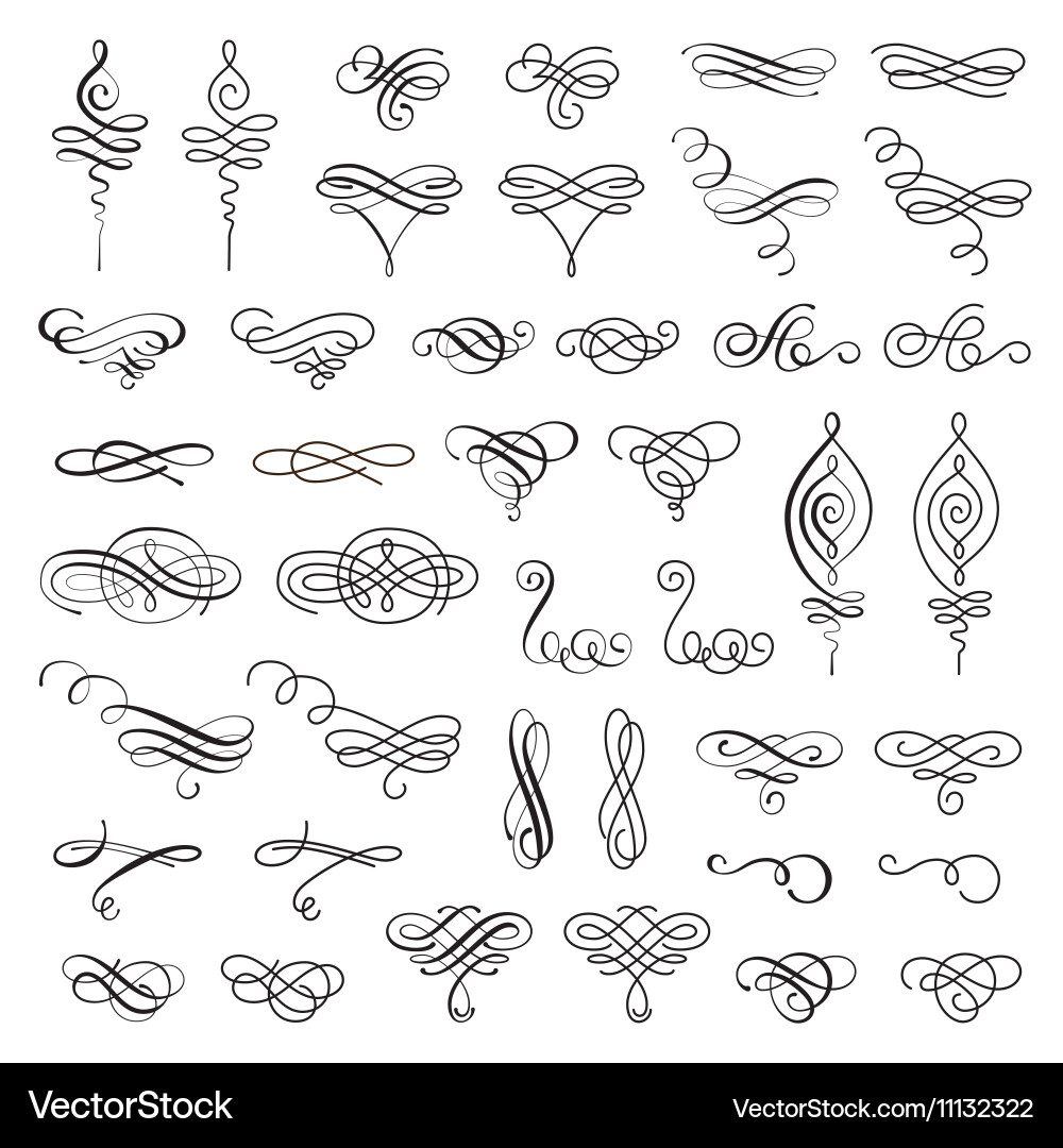 Ornate Swirls and Curls Collection vector image