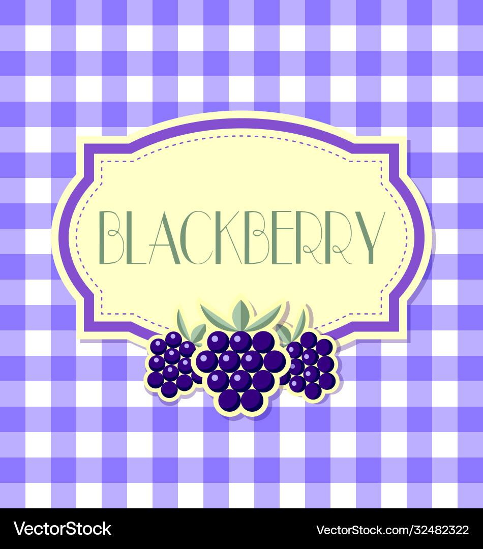 Retro Blackberry Label on Squared Pattern vector image