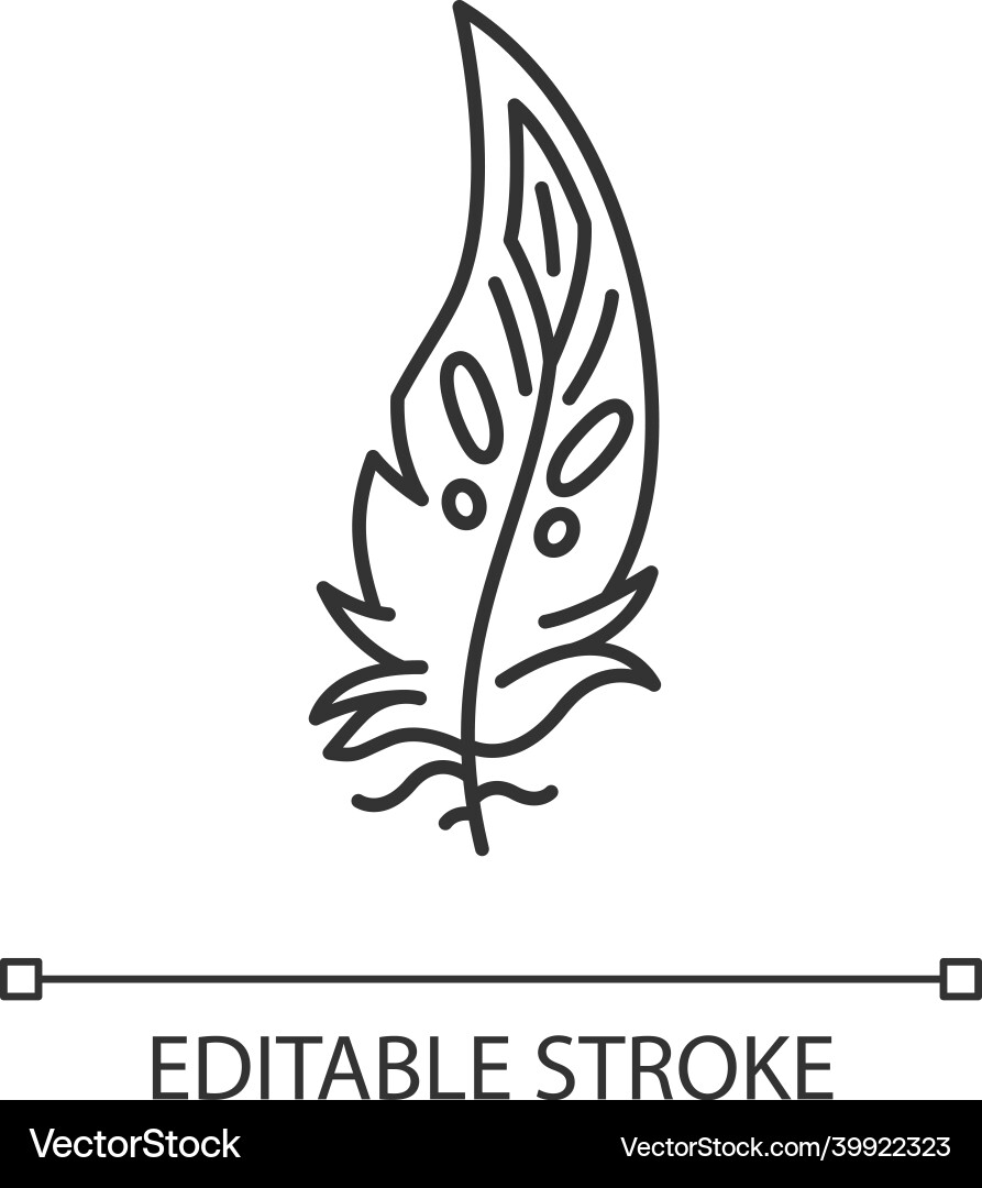 Boho feather pixel perfect linear icon native Boho feather pixel perfect linear icon native vector image