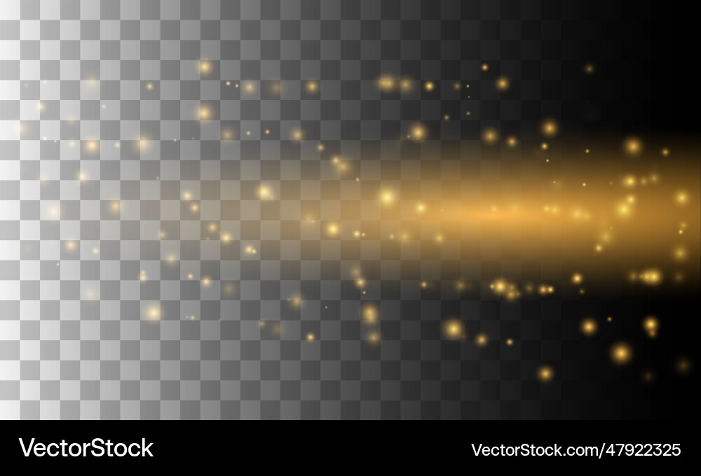 Bokeh sparkles shimmer on transparent background Bokeh sparkles shimmer on transparent background vector image