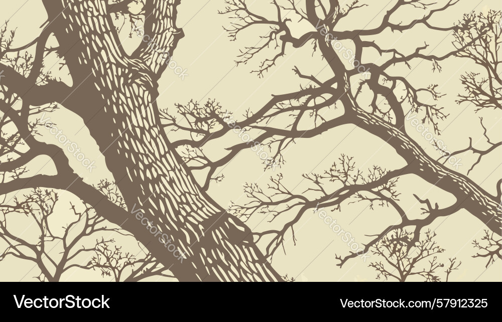 Robust tree trunk and branches forest ecosystem Vector Image
