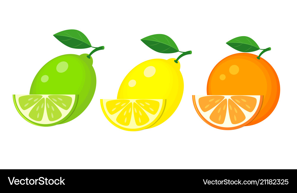 Set of lemon lime and orange with slices Set of lemon lime and orange with slices Vector Image
