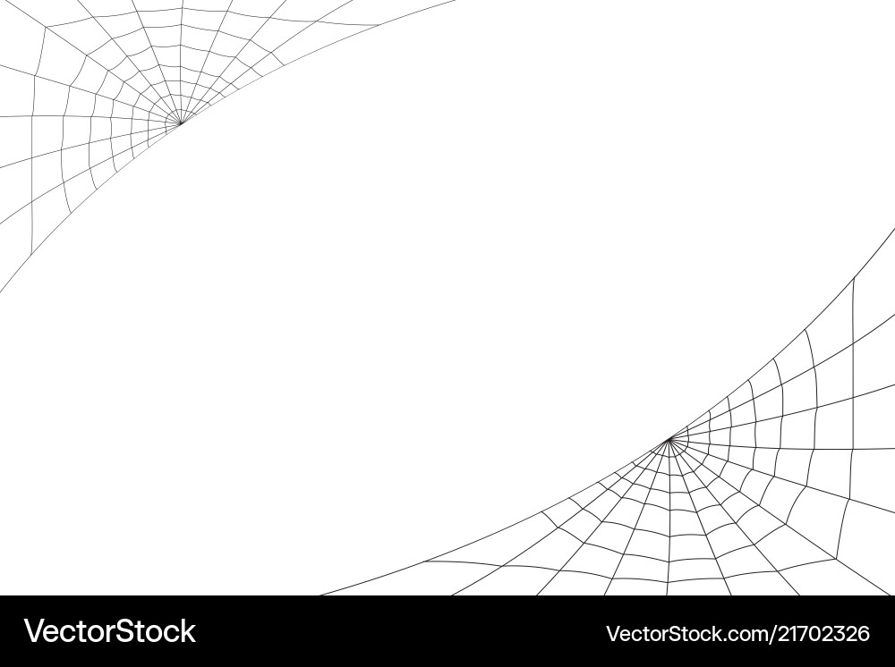 Concentric white web on a background Concentric white web on a background vector image